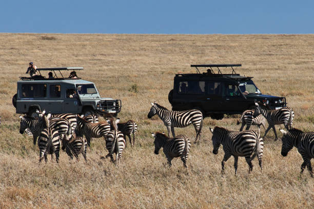 3-days-serengeti-luxury-safari